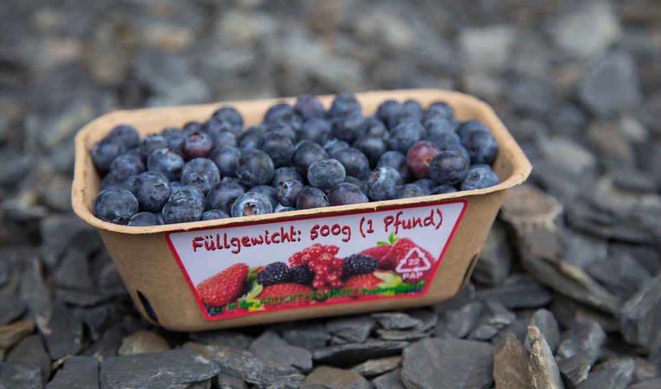 Blaubeeren_515g_01